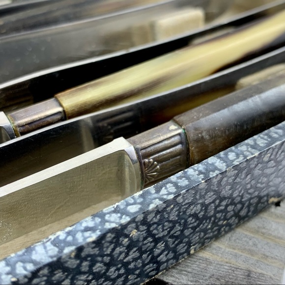 VINTAGE BUTTERKNIFE SET W/CASE BONE LIKE HANDLES - Picture 7 of 11